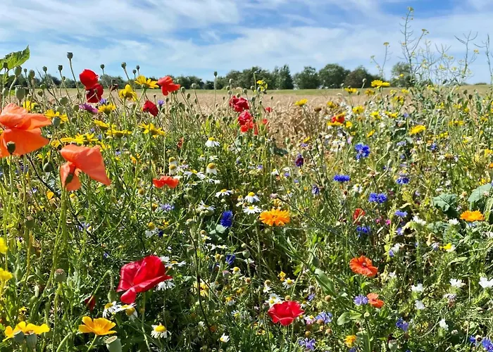 דירה Beltblick 30 *